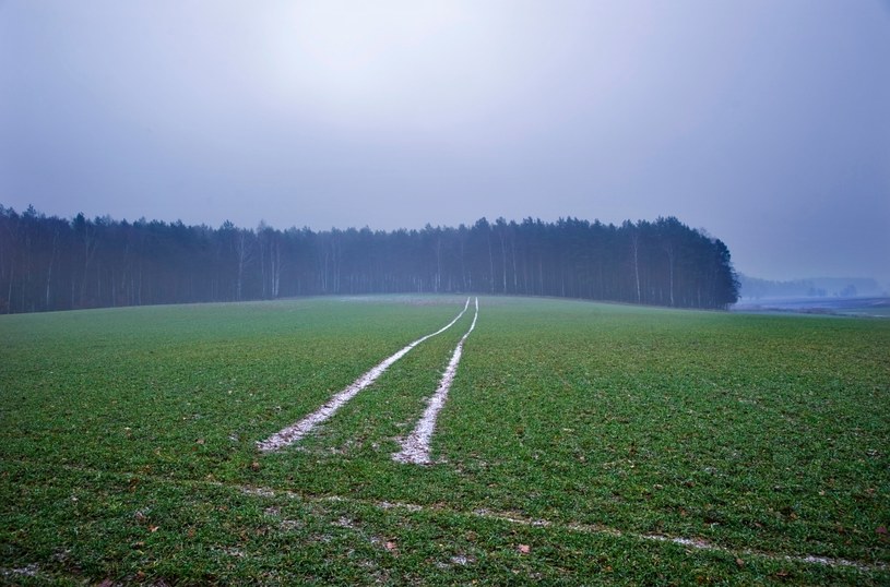 W PRL były hitem, czym dziś kuszą turystów — Bory Tucholskie