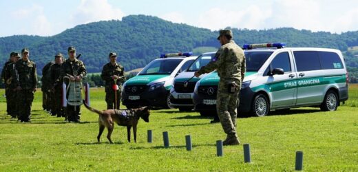 Kolejne psy saperskie pojechały na Ukrainę