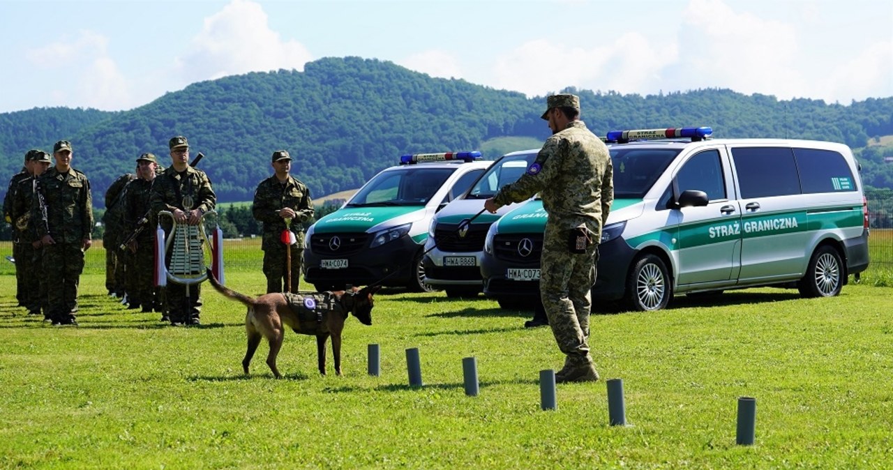 Kolejne psy saperskie pojechały na Ukrainę