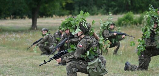 Żołnierze zapraszają na bezpłatne szkolenia wojskowe. Przyjść może niemal każdy
