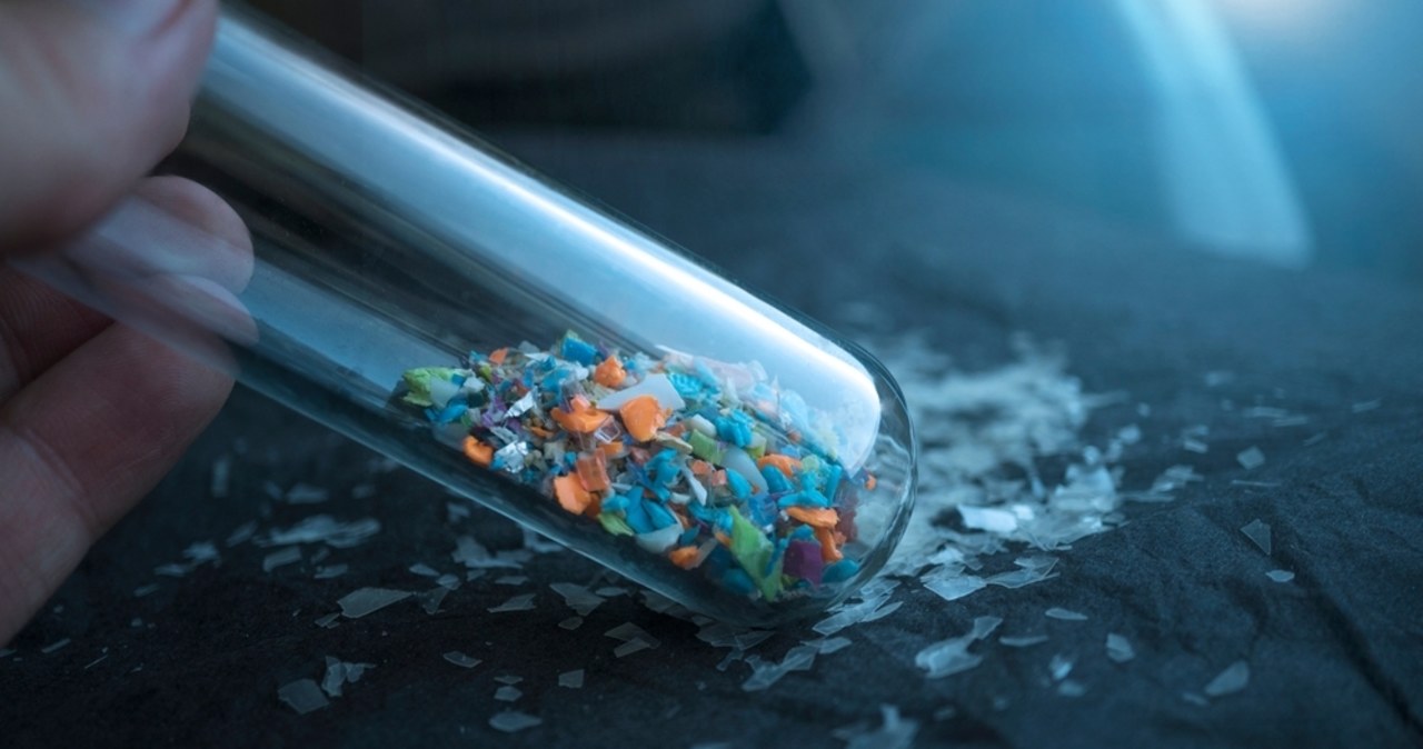 Mikroplastik wykryty w ludzkim penisie. Naukowiec: Nie powinno go tam być!
