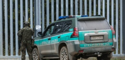 Ponad 100 migrantów chciało przekroczyć polską granicę