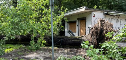 Ponad 2 tysiące mieszkańców bez prądu. IMGW wydał kolejne ostrzeżenia
