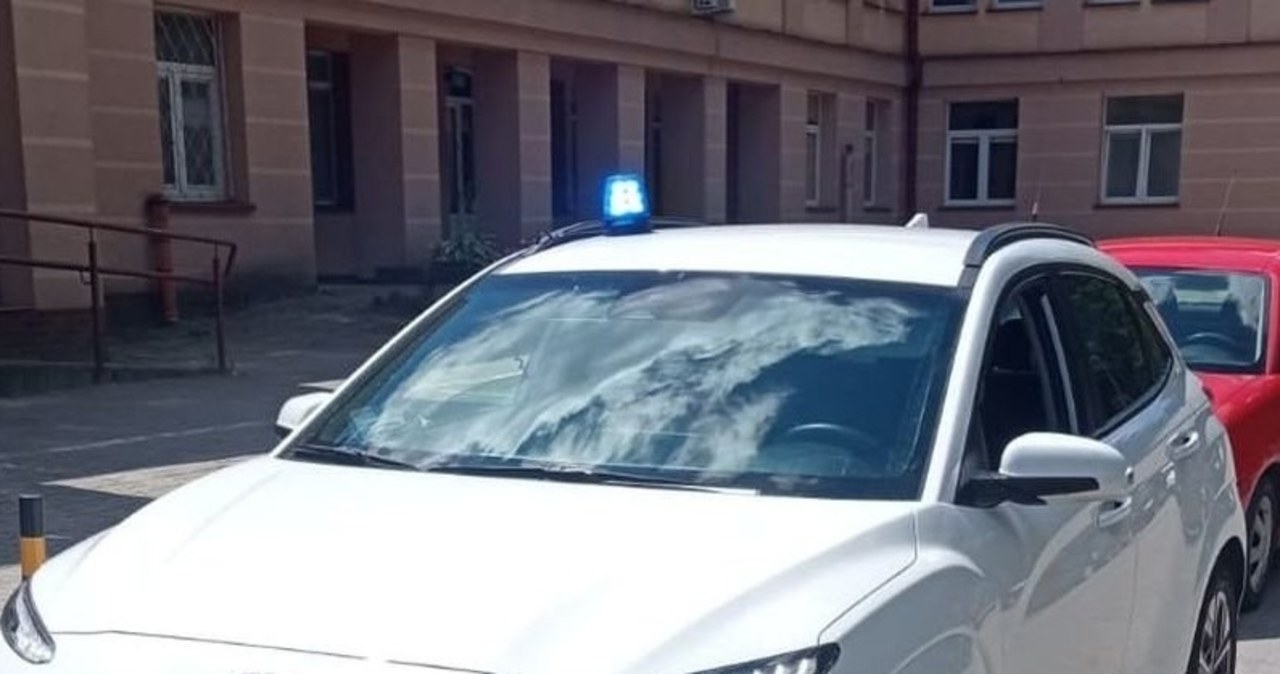 17-latek ukąszony przez szerszenia. Miał wstrząs anafilaktyczny