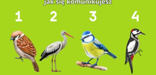 Psychotest: Jaki jest twój styl komunikacji? Wybierz ptaka i sprawdź to