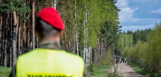 Polską granicę będzie patrolować Żandarmeria Wojskowa
