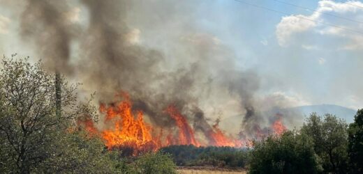 Pożary w Grecji. Nie żyje jedna osoba