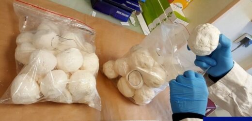 Policjanci przejęli 8 kg narkotyków