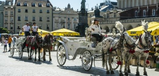 Kraków: Dorożki nie wyjadą na Rynek Główny z powodu upału