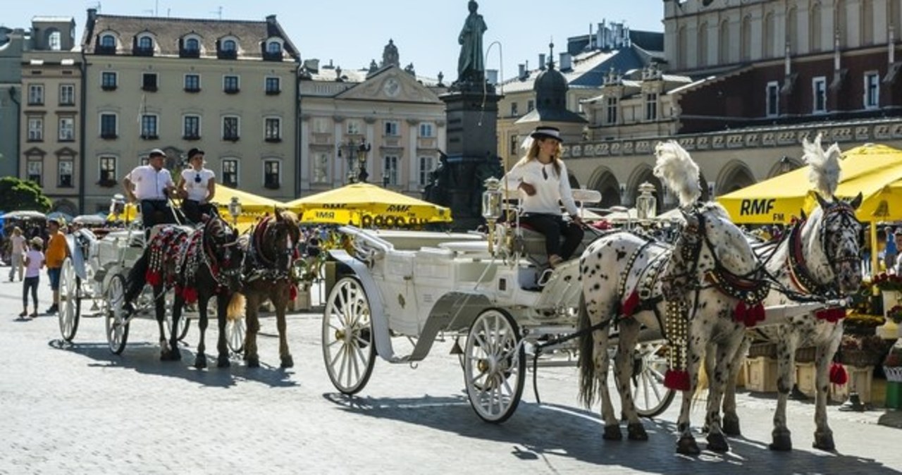 Kraków: Dorożki nie wyjadą na Rynek Główny z powodu upału