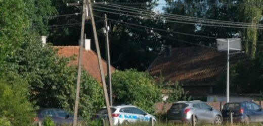 Psy zagryzły 7-latkę. Mieszkańcy wstrząśnięci