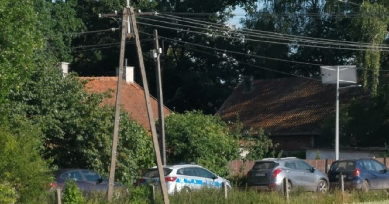 Psy zagryzły 7-latkę. Mieszkańcy wstrząśnięci