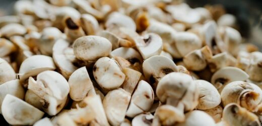 Najtańsze grzyby na świecie. Zmniejszają apetyt, obniżają cholesterol. Możesz jeść na surowo
