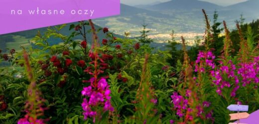Polska na własne oczy. Beskidy gotowe na lato. „Przed nami dobry sezon”