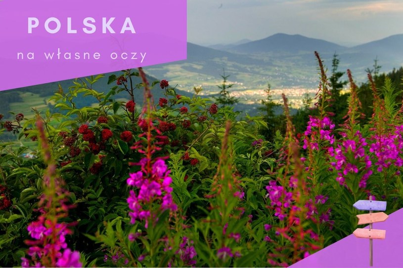 Polska na własne oczy. Beskidy gotowe na lato. „Przed nami dobry sezon”