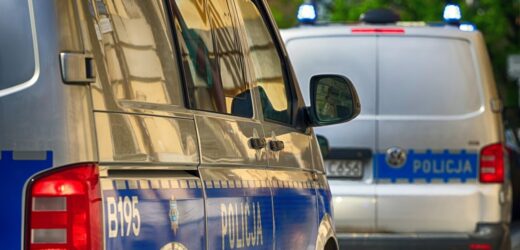 Handlowali nieistniejącymi samochodami. Rozbita grupa oszustów