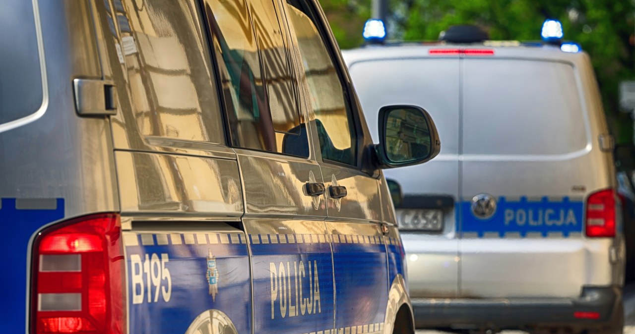 Handlowali nieistniejącymi samochodami. Rozbita grupa oszustów