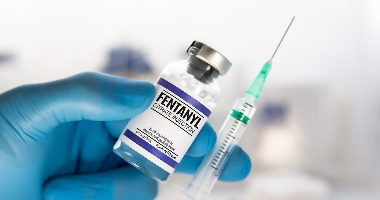 Dilował plastrami z fentanylem. „Żuromiński duch” aresztowany [WIDEO]