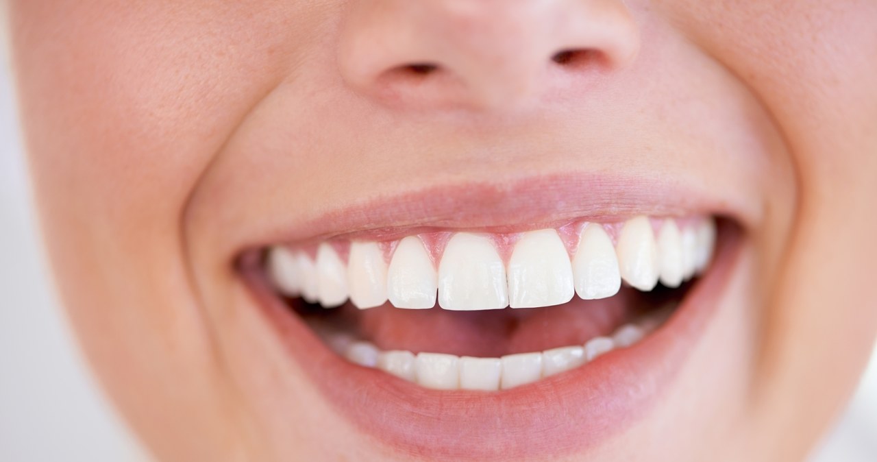 Zęby odrosną jak u rekina? Naukowcy pracują na takim rozwiązaniem