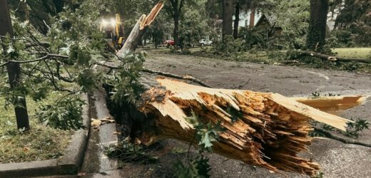 Zerwane dachy i połamane drzewa. Nad Polską przechodzą potężne burze