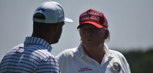 Trump o Bidenie: Wyeliminowałem tę kupę łajna