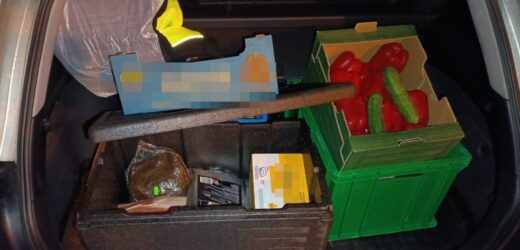 Od żółtego sera po łososia. Byli pracownicy okradali szpitalną kuchnię