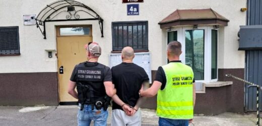 ​Przemytnik broni wpadł, bo źle pokierował go GPS