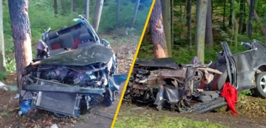 Dwa auta uderzyły w przydrożne drzewa. Zostały z nich strzępy