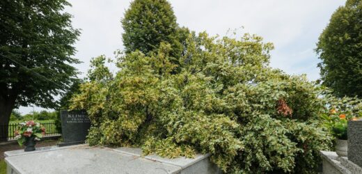 Straty po nawałnicach w woj. śląskim. Są nowe szacunki