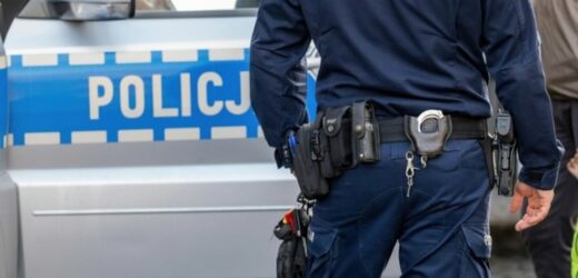 Siatka narkotykowa rozbita. 17 osób zatrzymanych