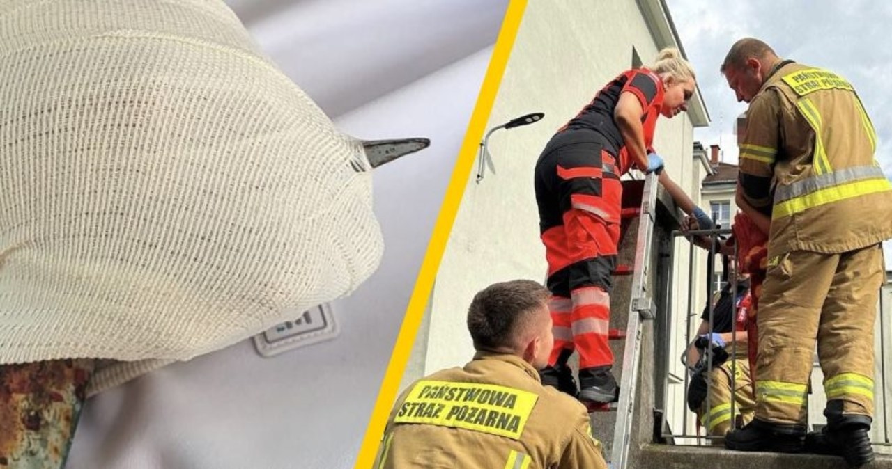 14-latek nadział się na ogrodzenie. Czeka go operacja