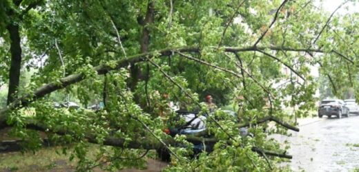 Załamanie pogody. W Gdańsku zamknięto cmentarze komunalne i Park Oliwski