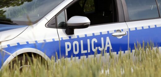 10-latek w ciężkim stanie znaleziony przy drodze. Jest apel policji