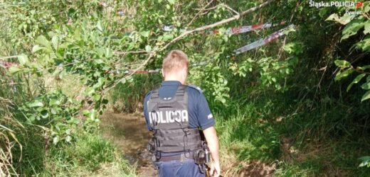 Śląskie: Pocisk moździerzowy znaleziony na dnie rzeki