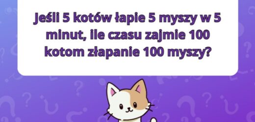 Test na logiczne myślenie: Czy zdołasz poprawnie rozwiązać ćwiczenie?