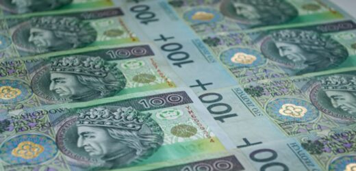 Miliony dla rolnika w Warszawie. Deweloper kupił od niego działkę