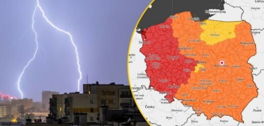 Najwyższe alerty pogodowe dla połowy Polski. Sprawdź, gdzie będzie najbardziej niebezpieczne