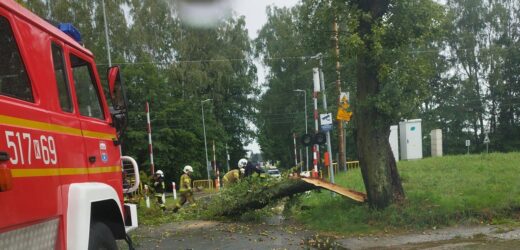 Zerwane dachy, powalone drzewa. Burze i nawałnice nad Polską