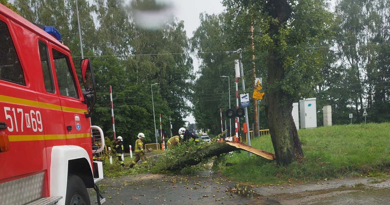 Zerwane dachy, powalone drzewa. Burze i nawałnice nad Polską