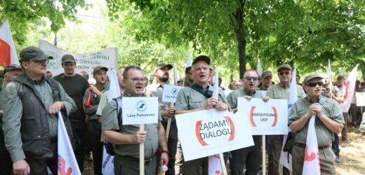 „Odpolitycznić lasy”. Protest leśników w Warszawie