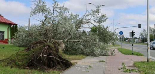 Pogodowy armagedon w Kielcach. Połamane drzewa i zalane ulice