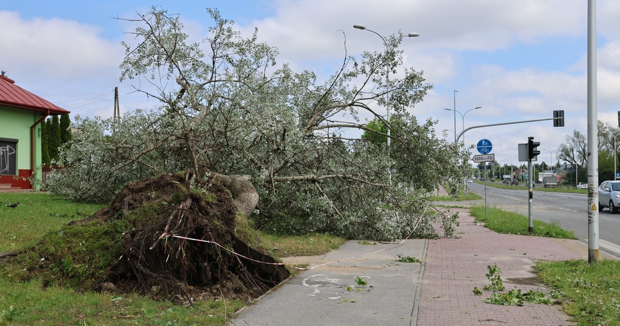 Pogodowy armagedon w Kielcach. Połamane drzewa i zalane ulice