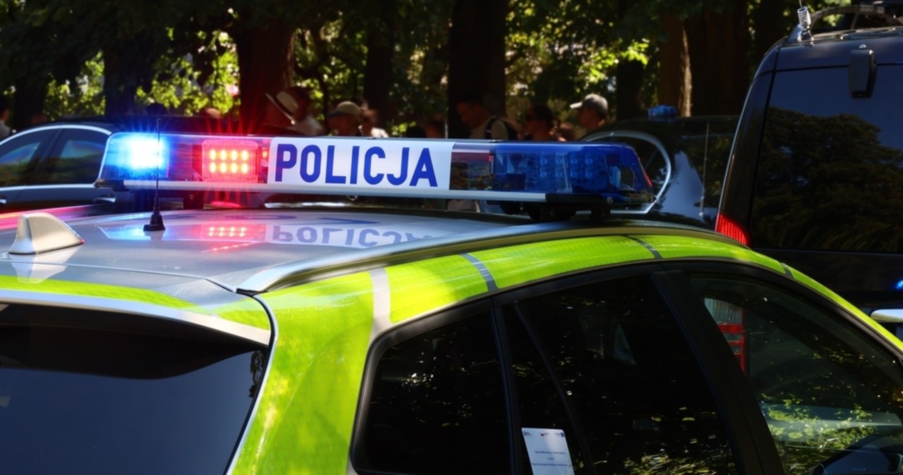 Wypadek pod Działdowem: Czworo dzieci w szpitalu