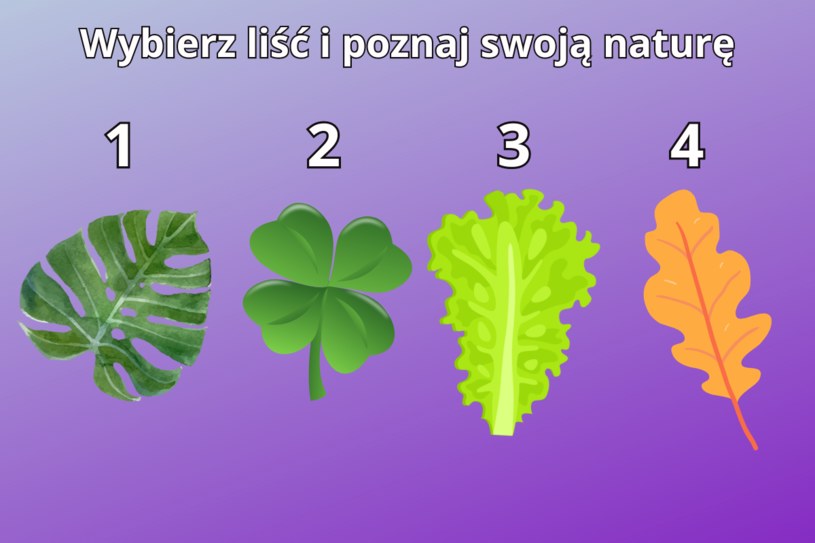 Psychotest: Wybierz liść i poznaj swoją prawdziwą naturę. Odpowiedź szokuje
