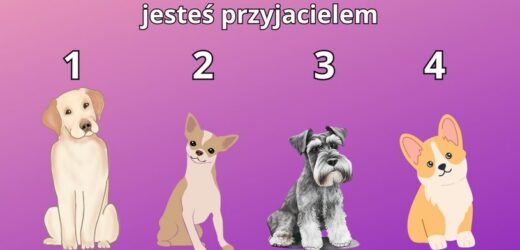 Psychotest: Wybierz pieska i sprawdź, jakim typem przyjaciela jesteś
