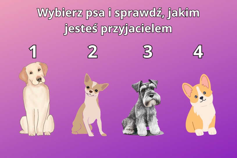 Psychotest: Wybierz pieska i sprawdź, jakim typem przyjaciela jesteś