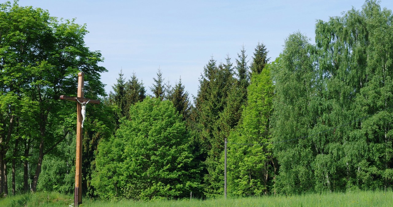 Zginęli za ukrywanie Żydów. Szczątki rodziny Pochwatków odnalezione?