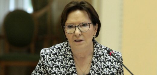 Ewa Kopacz wybrana na wiceprzewodniczącą Parlamentu Europejskiego