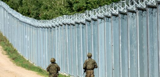 Znieważenie żołnierzy. Kilkanaście mandatów i wszczęte dochodzenie
