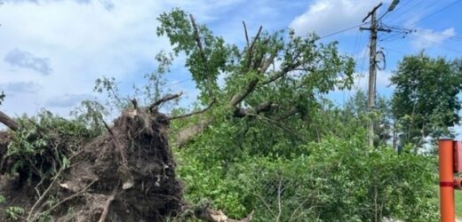 Krajobraz po nawałnicy w gminie Trawniki. Strażacy jeżdżą z miejsca na miejsce